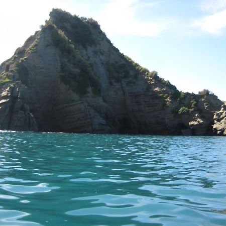 Waipiro Bay Paradise Bed & Breakfast Te Puia Luaran gambar