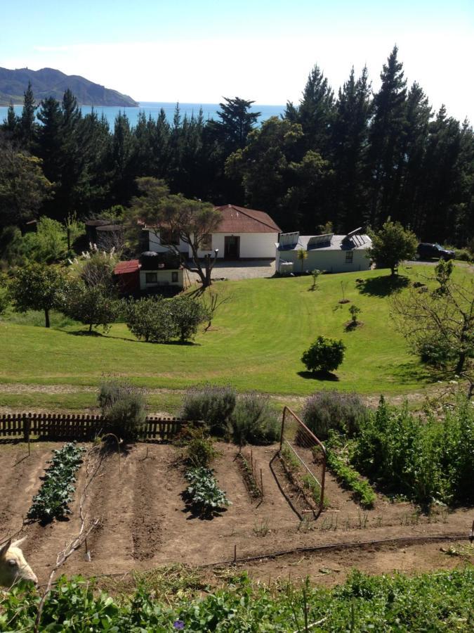 Waipiro Bay Paradise Bed & Breakfast Te Puia Luaran gambar