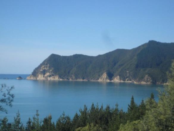 Waipiro Bay Paradise Bed & Breakfast Te Puia Luaran gambar