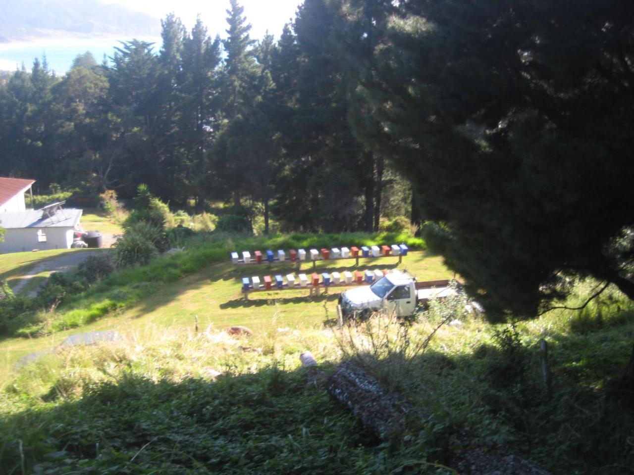 Waipiro Bay Paradise Bed & Breakfast Te Puia Luaran gambar