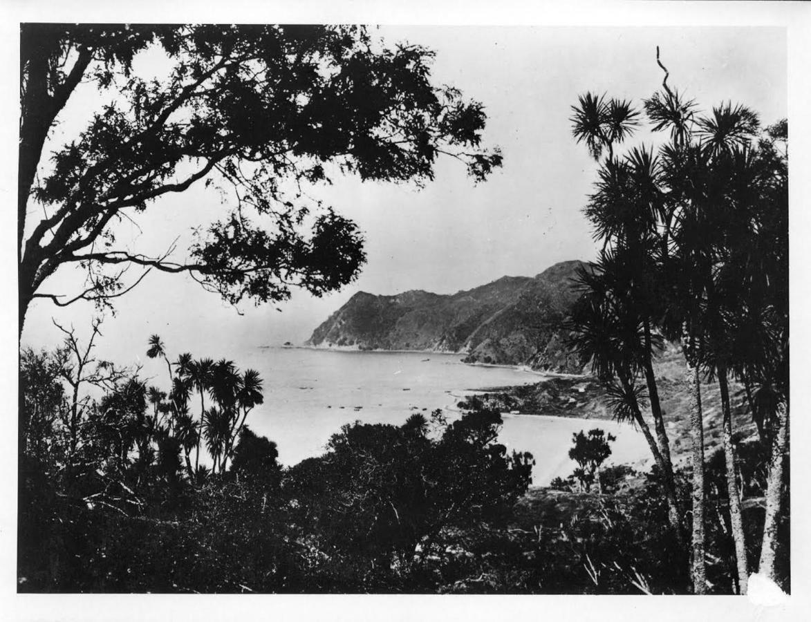 Waipiro Bay Paradise Bed & Breakfast Te Puia Luaran gambar